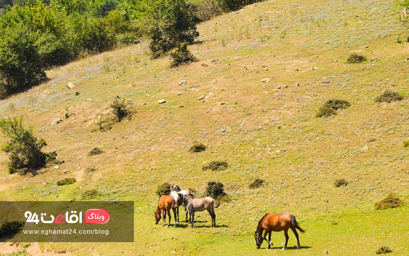 طبیعت استان گلستان