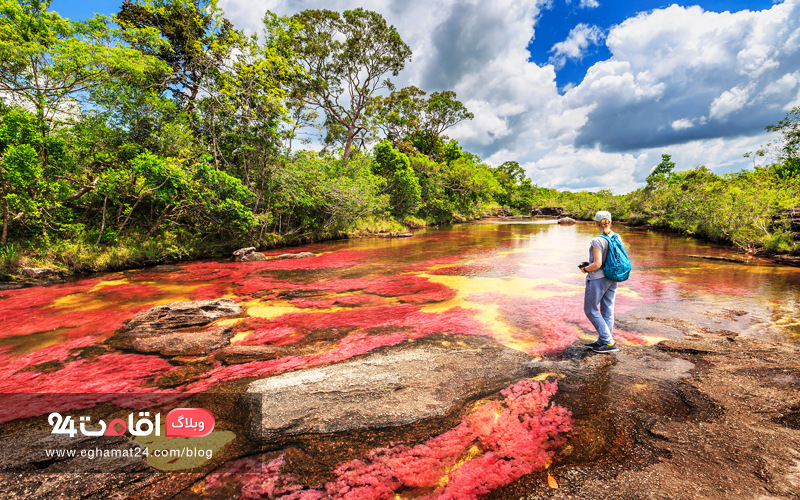 The Rainbow River - تصاویر طبیعت