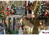 کریسمس در تهران؛ جاهای دیدنی شب کریسمس در تهران 151 کریسمس در تهران؛ جاهای دیدنی شب کریسمس در تهران