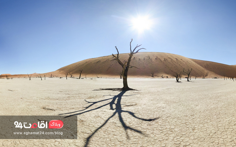 دلایل بیابان زدایی