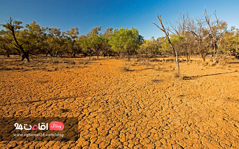 مبارزه با بیابان زایی
