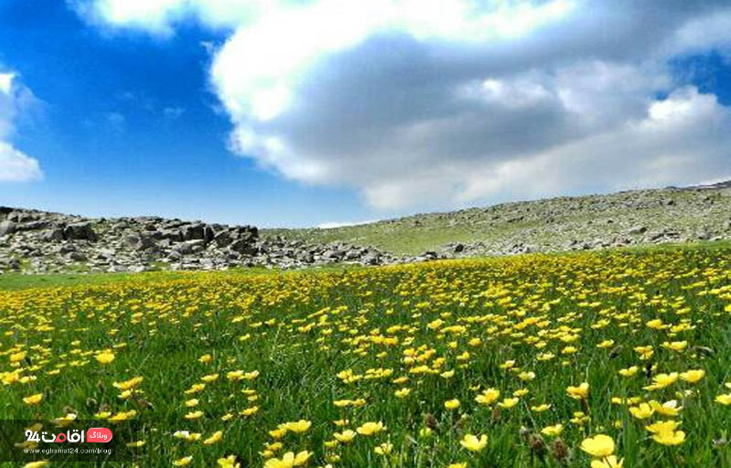 طبیعت روستای وردیج تهران