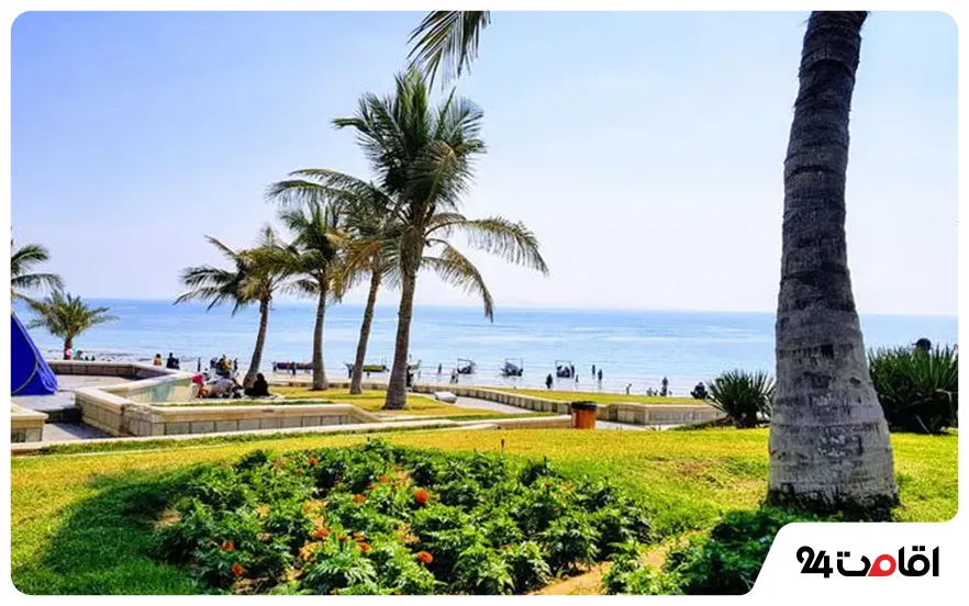 بوستان زیتون قشم