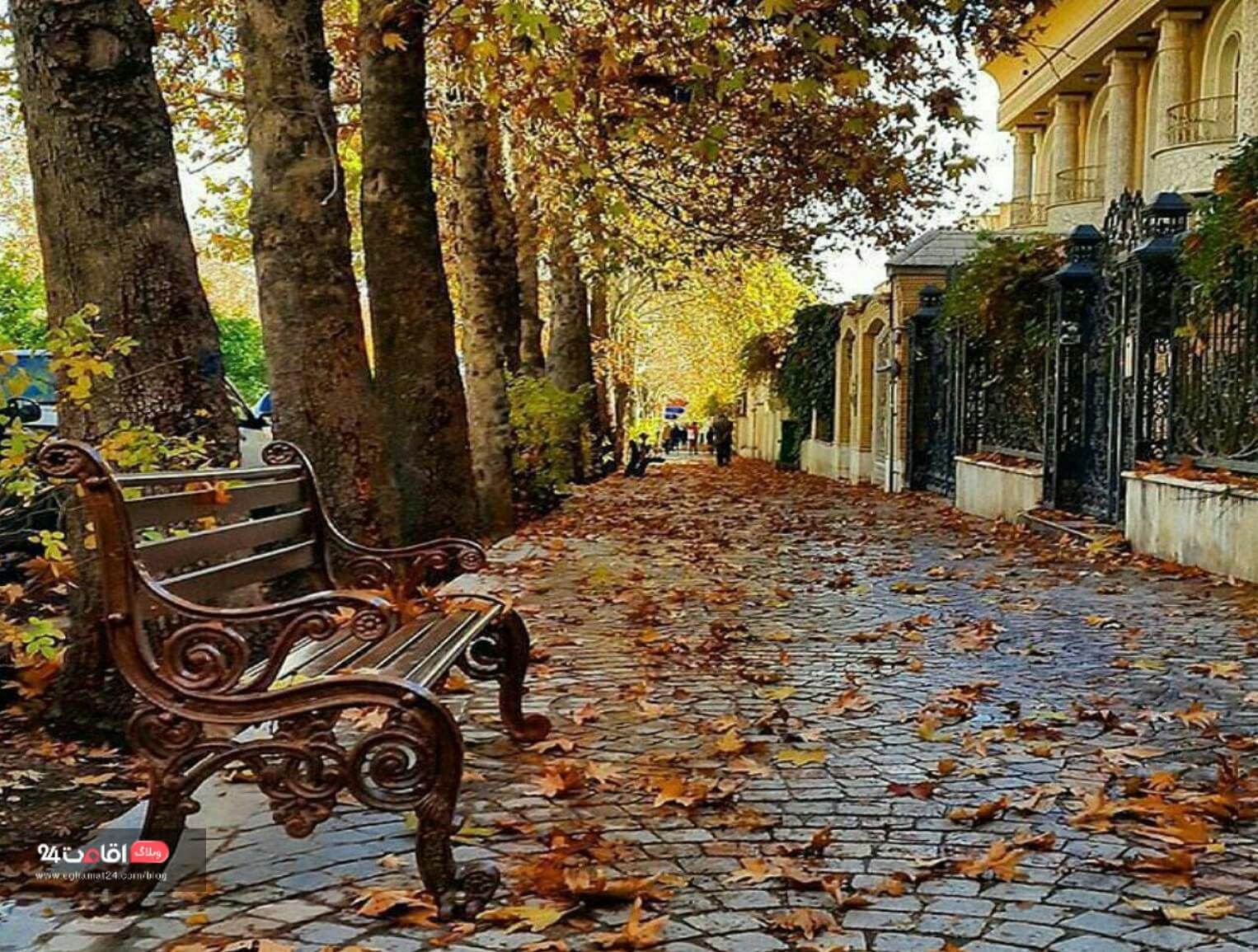 پیاده روی در خیابان ارم شیراز