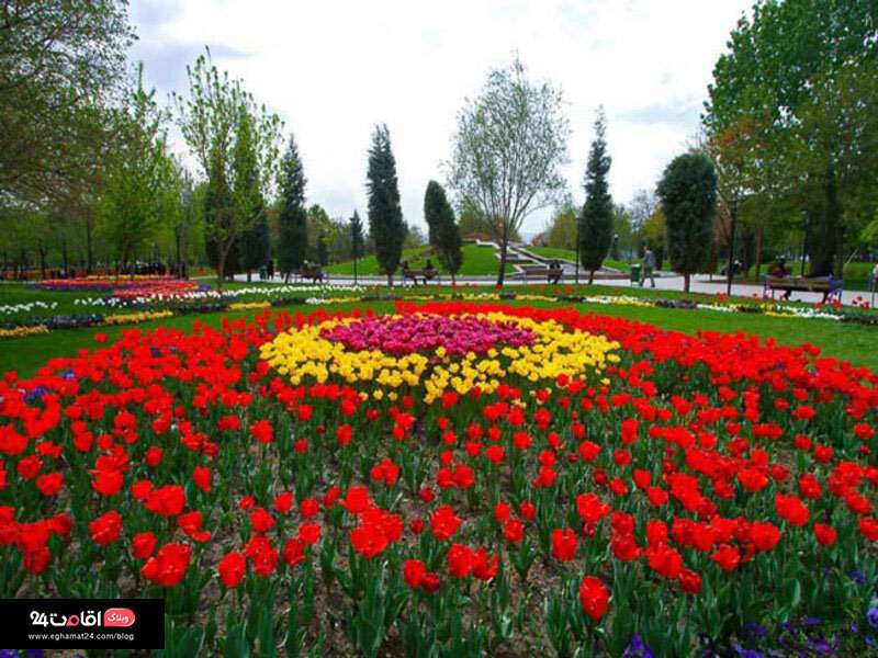 گلهای لاله در باغ گلهای مشهد