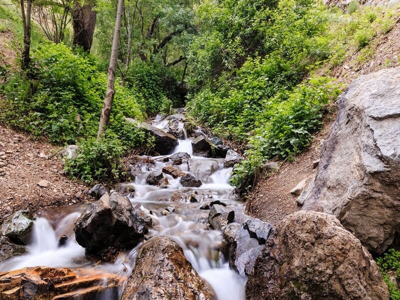 راهنمای کوهنوردی در دارآباد