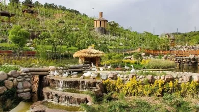 پارک جنگلی لویزان تهران، طبیعت گردی جذاب در دل پایتخت