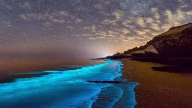 ساحل نقره ای هنگام قشم؛ تماشای ماسه های سحرآمیز در دل جنوب ایران