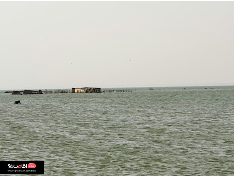 عکس دریای نجف