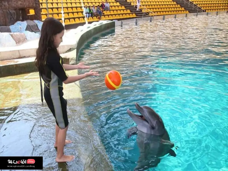پارک دلفین کیش | جاهای دیدنی کیش