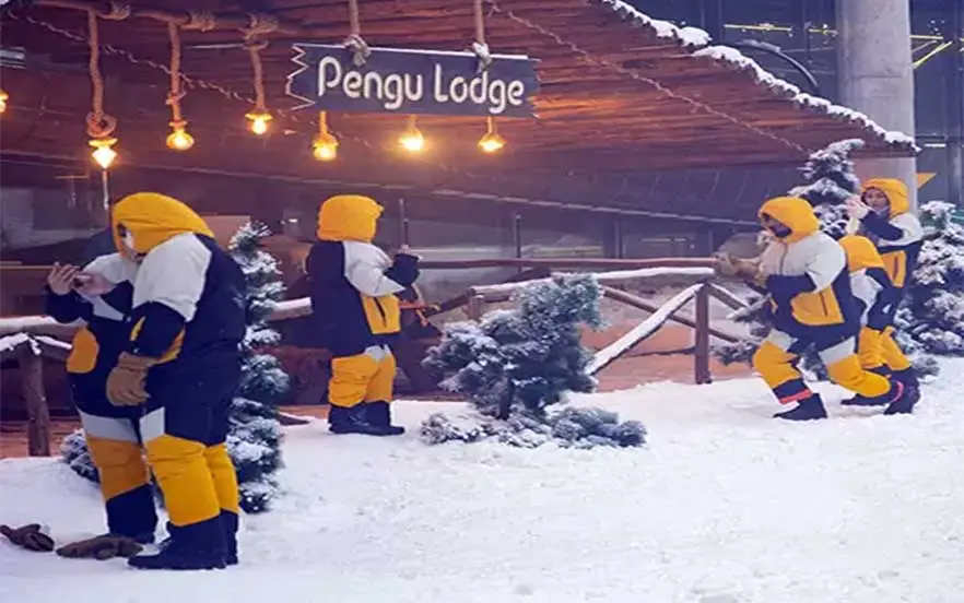 پارک برفی پنگوئن از جاهای تفریحی کیش با ورزش‌های زمستانی