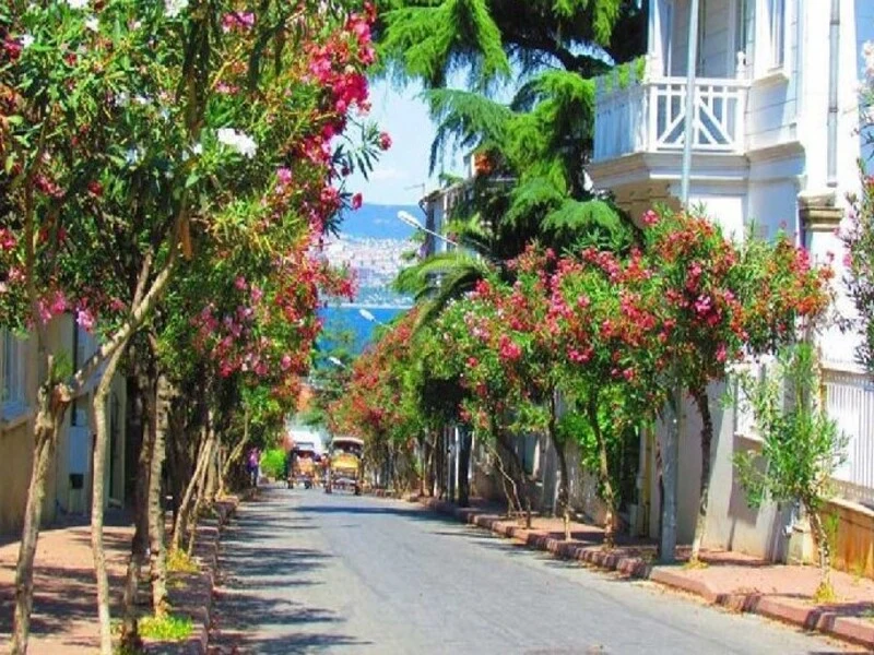 جزایر پرنس استانبول 