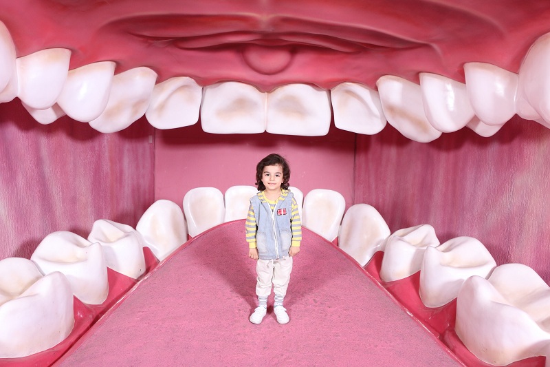 آموزش کارکرد دهان و دندان از طریق مولاژ دهان در پارک موضوعی تهران