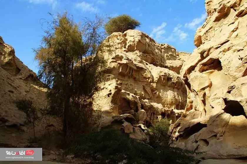 تنگه عالی محمد