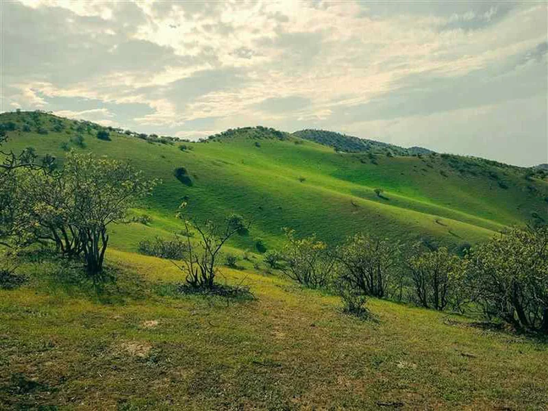 روستاهای مشهد، روستای چهچهه