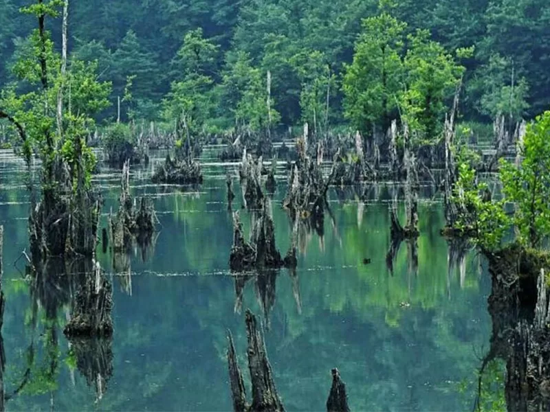 کوه ترسناک تهران