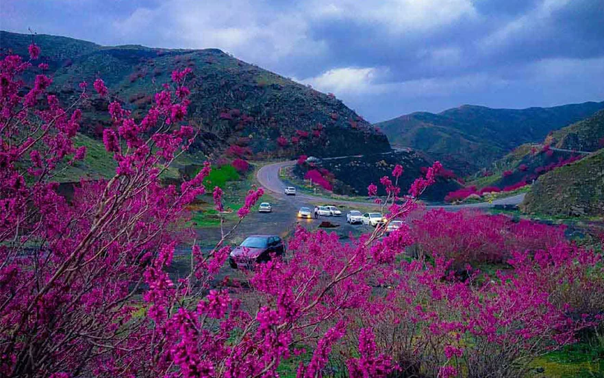 دره ارغوان طرقبه مشهد