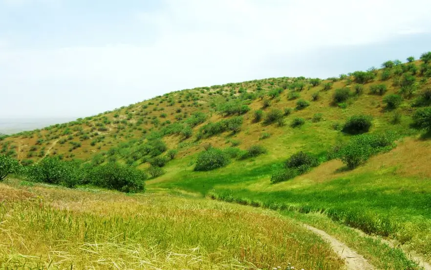 منطقه حفاظت شده جنگل پسته خواجه