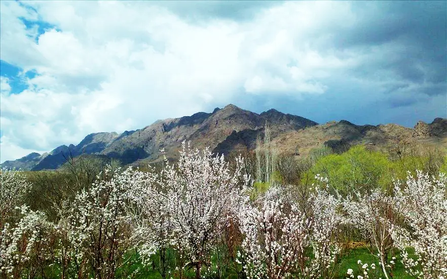 روستای کریز کاشمر