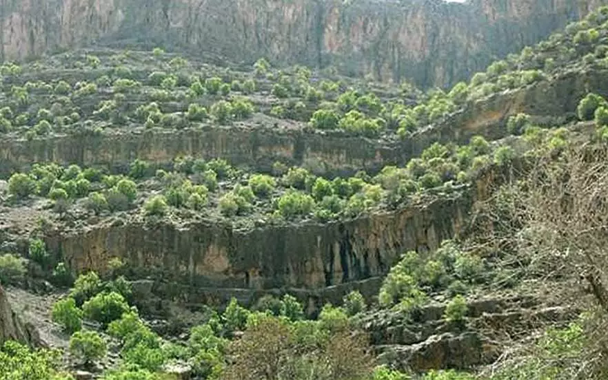 منطقه شکار ممنوع کوه سیاه بوشهر