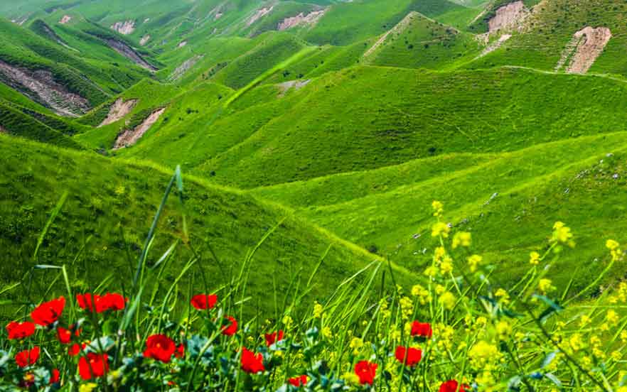 گلستان از بهترین مکان های دیدنی ایران با طبیعتی سرسبز