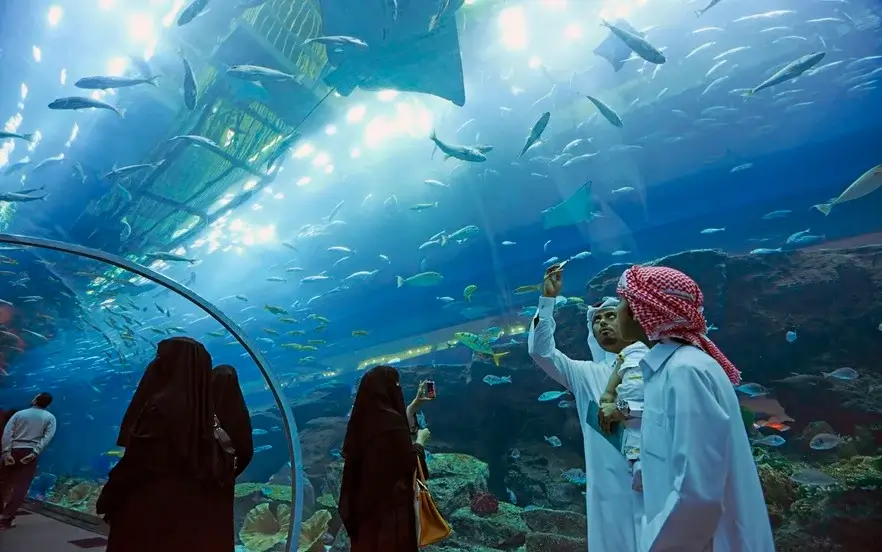 آکواریوم و باغ وحش زیر آب و عکس گرفتن بازدیدکنندگان