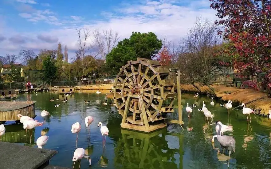 باغ وحش پولونزی از جاهای تفریحی استانبول برای گشت‌وگذار