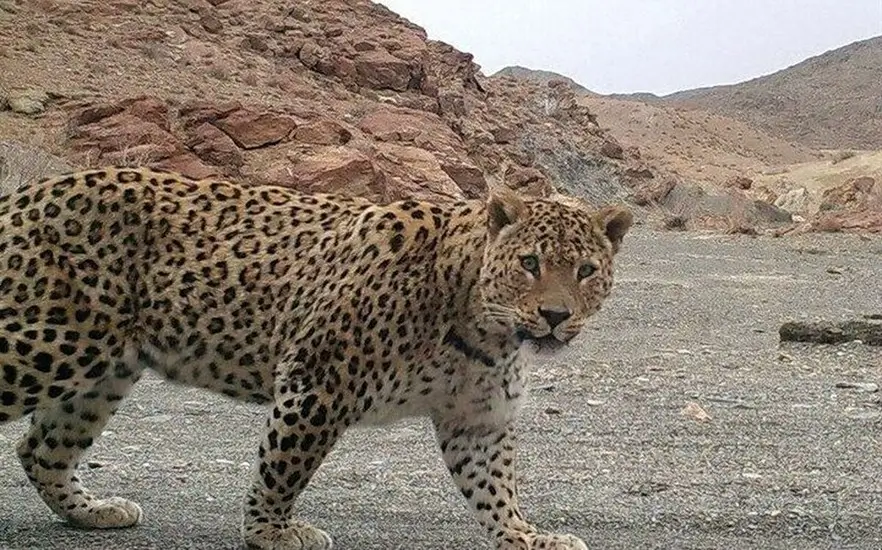 پارک های ایران؛ 30+ از پارک های ملی ایران با آدرس و تصویر 29 پارک ملی صیدوا
