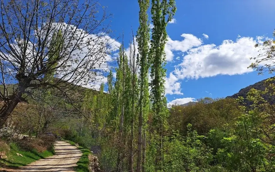 روستای درکش