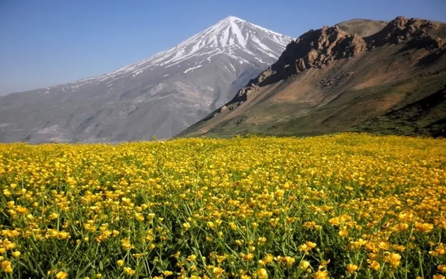 پارک ملی لار