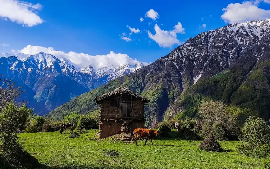 روستای نوشا