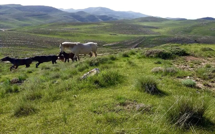 پارک ملی تَندوره