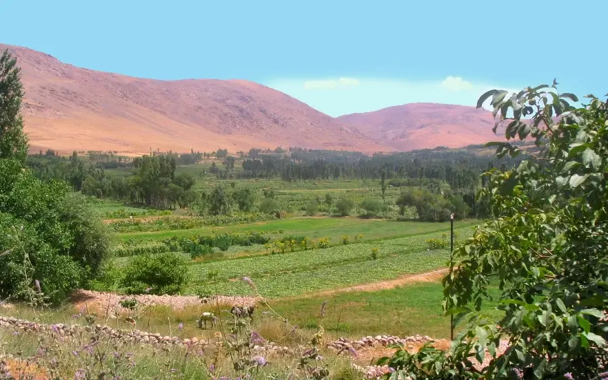 روستای ونایی