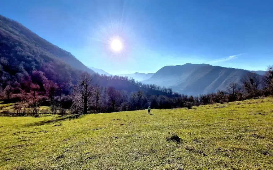 روستای زیارت