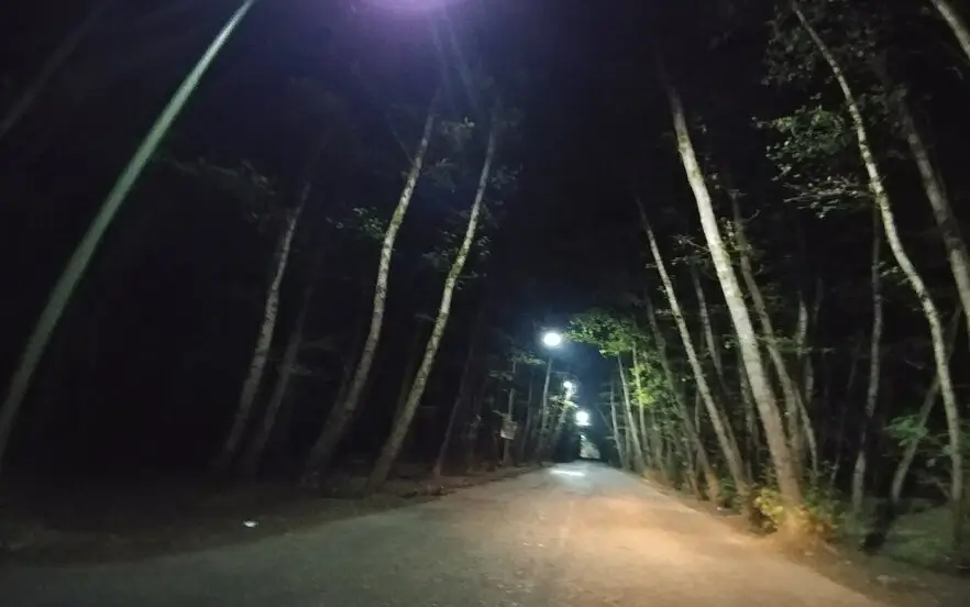 رانندگی در جاده جنگل گیسوم در شب