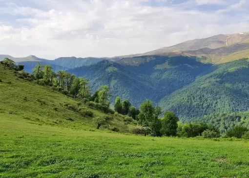 اولسبلنگاه ماسال