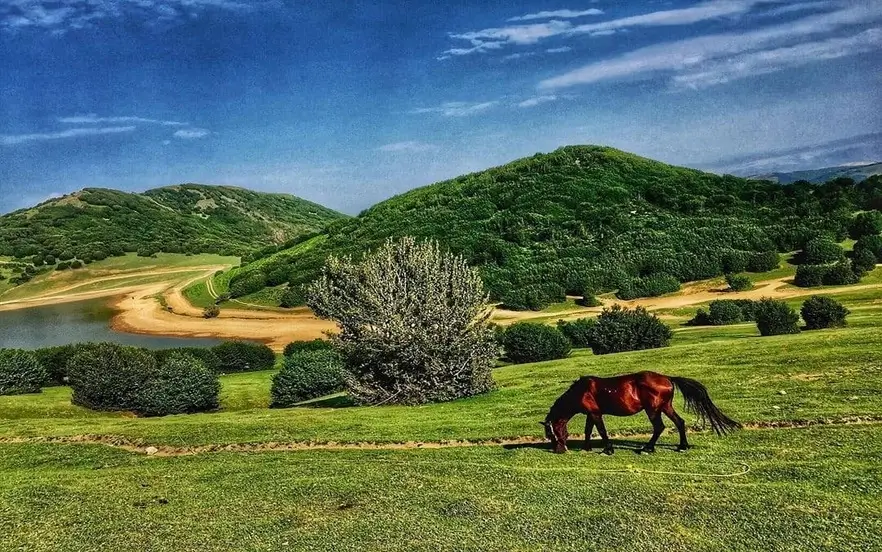 جاده منتهی به دریاچه سوها در اردبیل