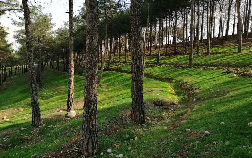 پارک جنگلی چیتگر تهران