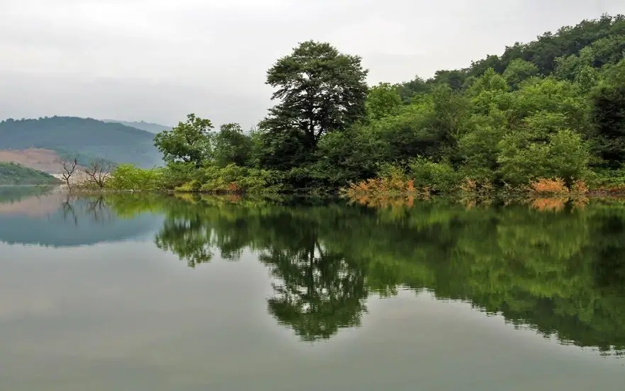 بهترین جا برای پیک نیک در جاده چالوس