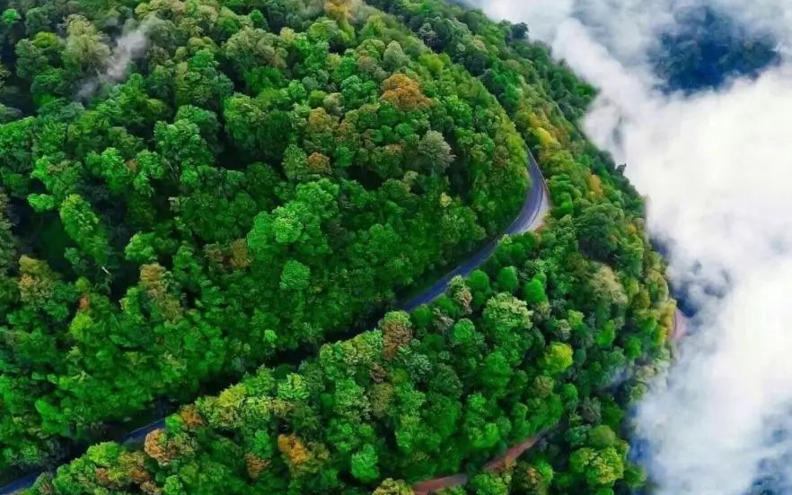 بهترین جا برای پیک نیک در جاده چالوس