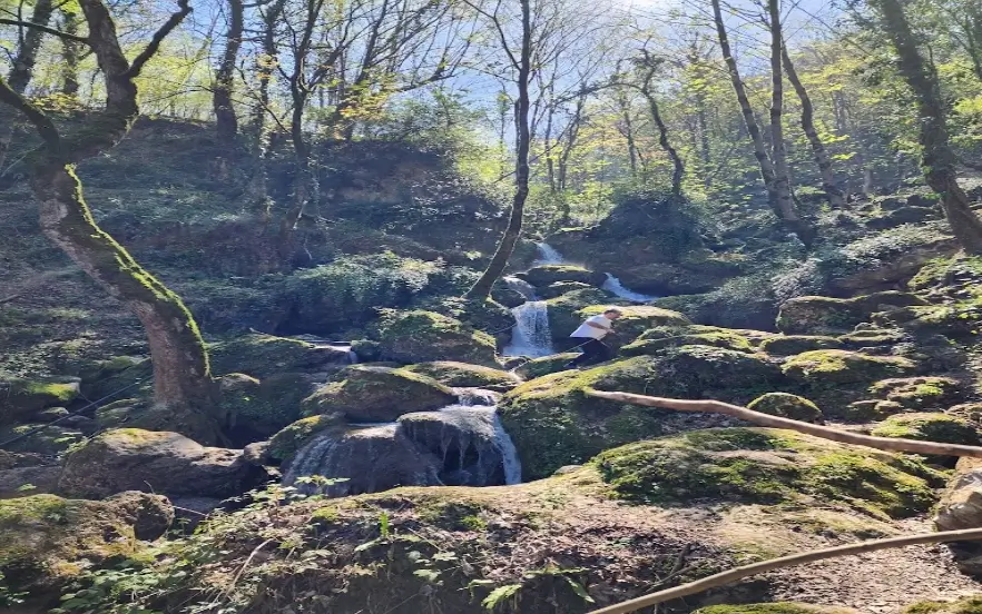 بهترین جا برای پیک نیک در جاده چالوس