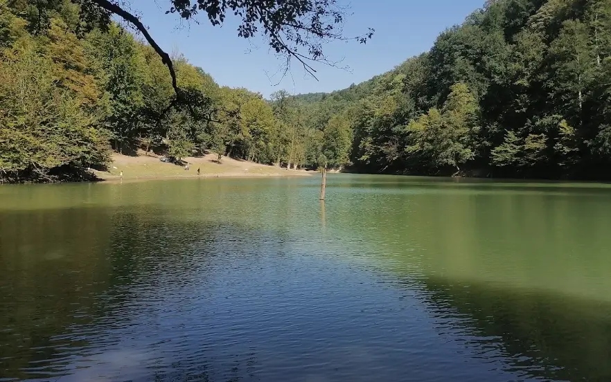 بهترین جا برای پیک نیک در جاده چالوس