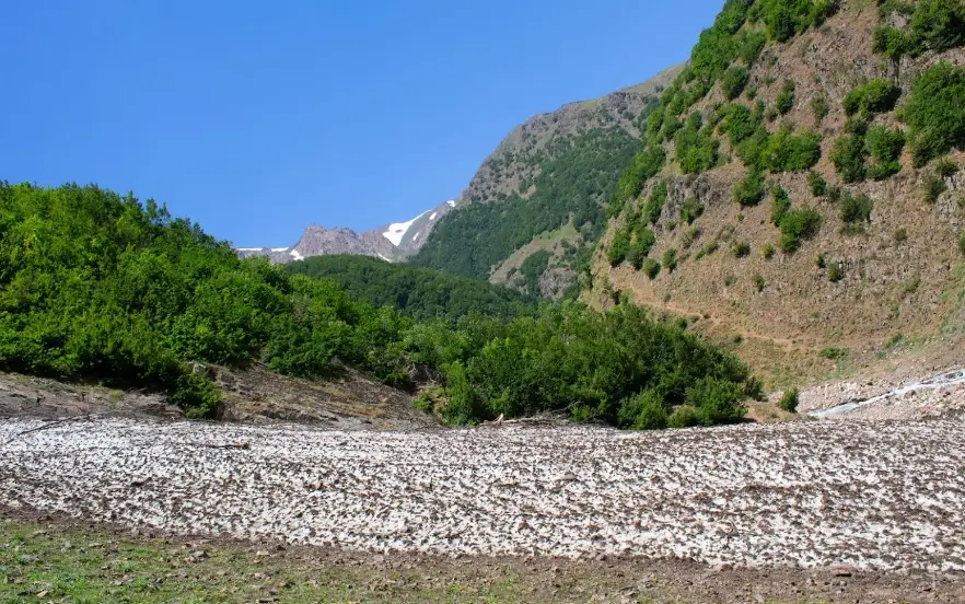 بهترین جا برای پیک نیک در جاده چالوس