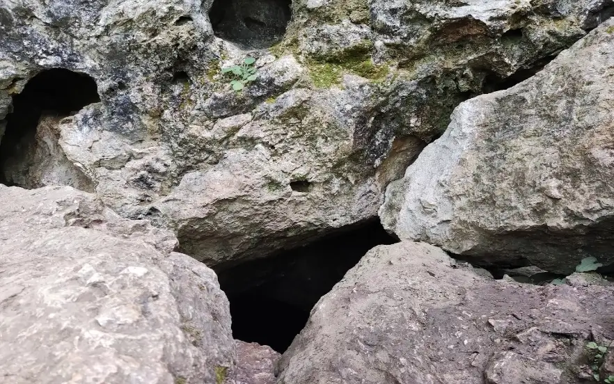 بهترین جا برای پیک نیک در جاده چالوس