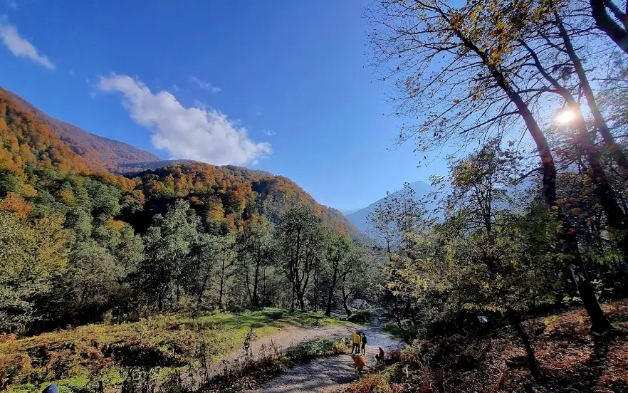 بهترین جا برای پیک نیک در جاده چالوس