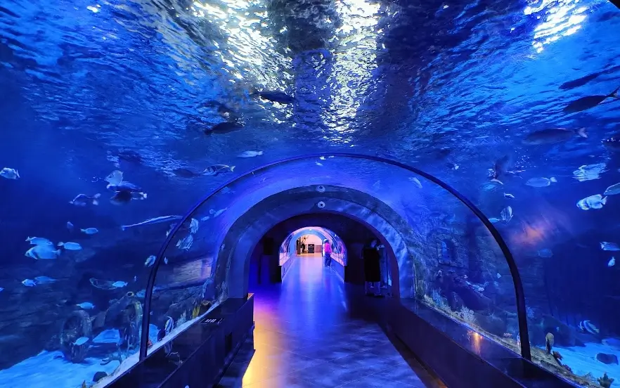 بهترین جا برای پیک نیک در جاده چالوس