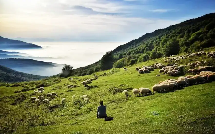 روستای دیلمان