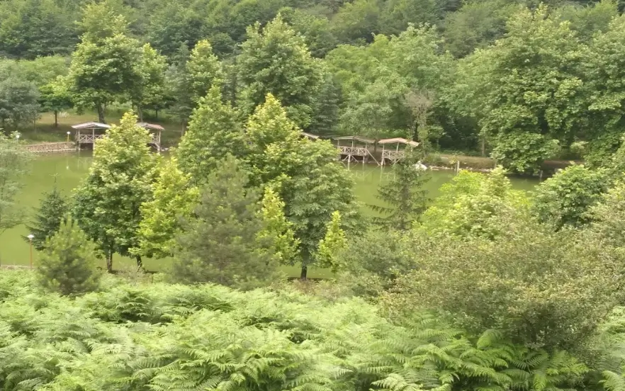 بهترین جا برای پیک نیک در جاده چالوس