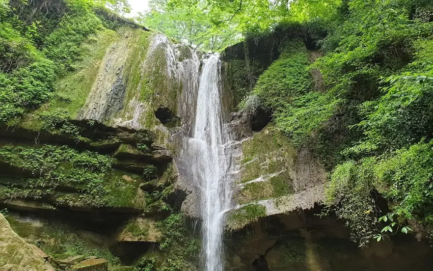 بهترین جا برای پیک نیک در جاده چالوس