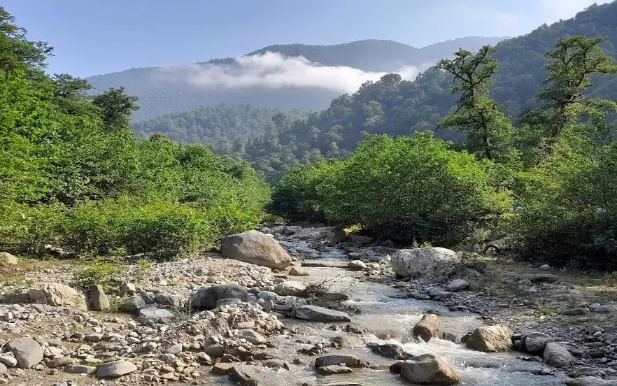 بهترین جا برای پیک نیک در جاده چالوس